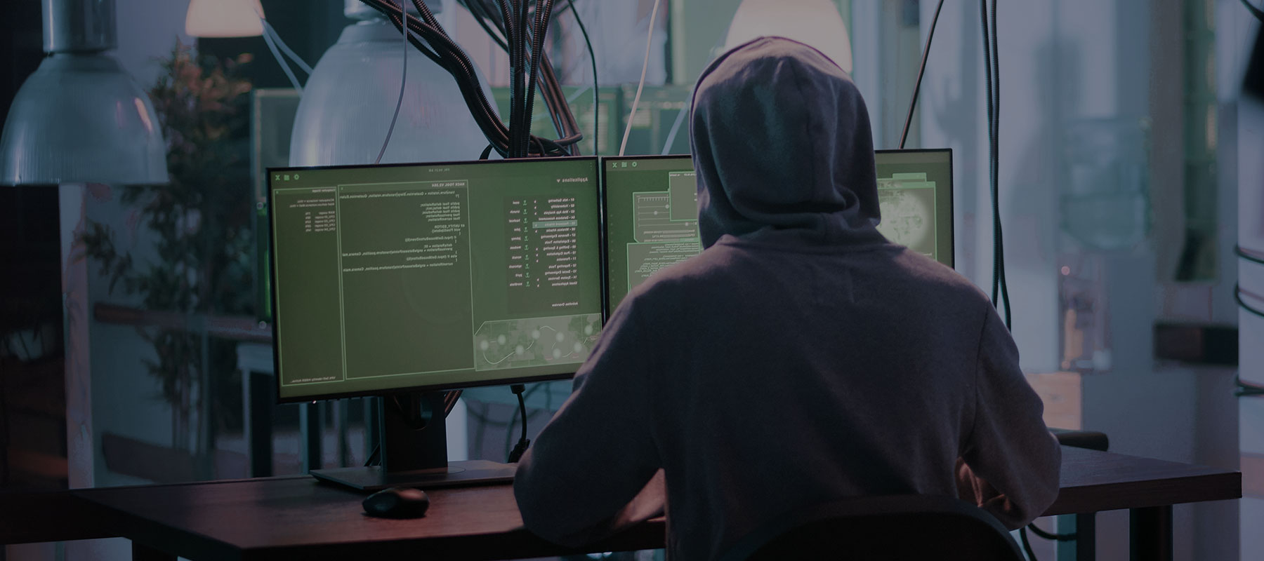 Online cybercrime protection talk at Rose Ash Village Hall in February 2027